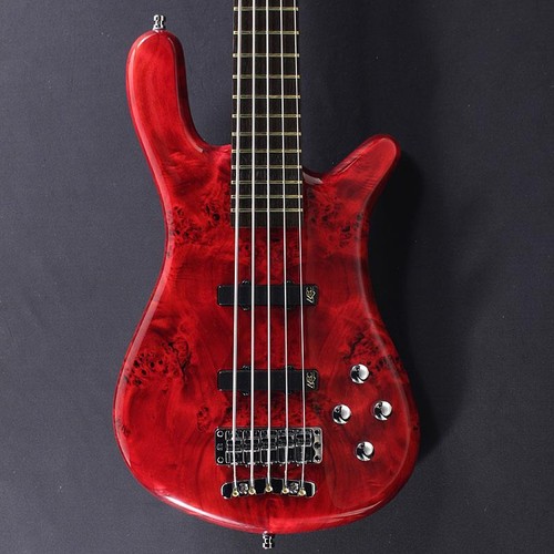 Warwick pro series streamer - series, lx