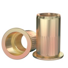 100 Pièces Écrous à Sertir