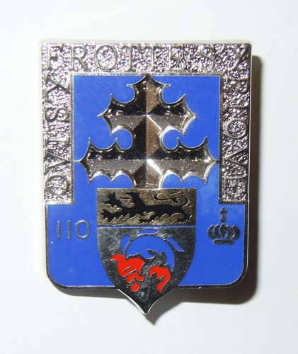 Insigne 110 regiment - 110°,
