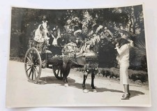 Photo Ancienne 13x17cm -