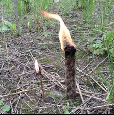 Corde ciré étanche chanvre