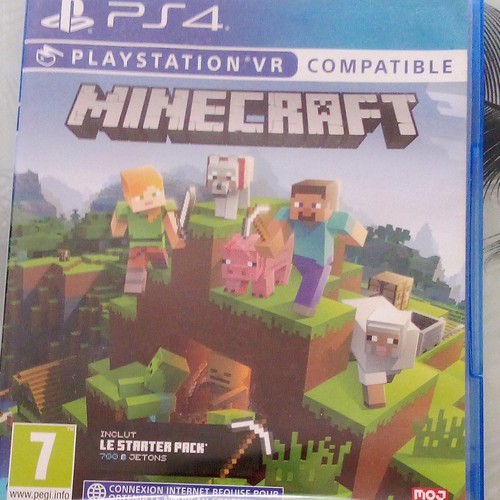 Mojang minecraft jeu ps4 pal - minecraft,