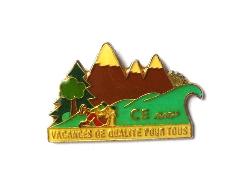 Pin comité d entreprise - pin's, d'entreprise