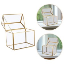 Terrarium De Mousse