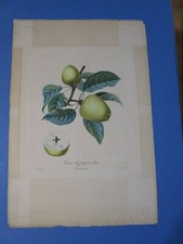 Gravure originale ancienne -