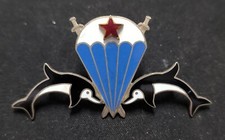 VARIANTE INSIGNE BREVET POUR