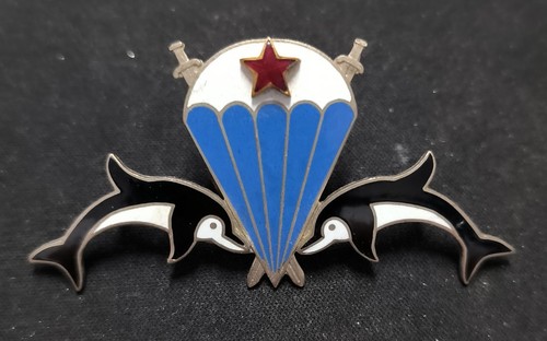 Variante insigne brevet - insigne,