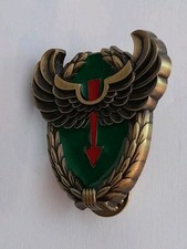 Brevet 13°RDP Dragons Para Forces Spéciales Radio 