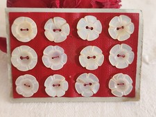 Rare petite plaque boutons anciens en nacre  1,3 cm  lot de 12 n°4D