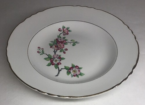 Lot1 assiettes creuses - 6,