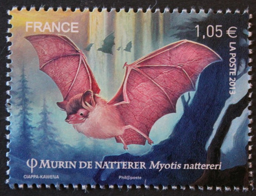Timbre france murin - timbre,