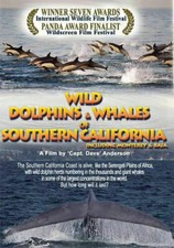 Wild Dolphins & Whales of