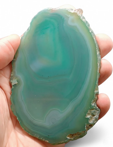 Achat tranche vert 100 - tranche,