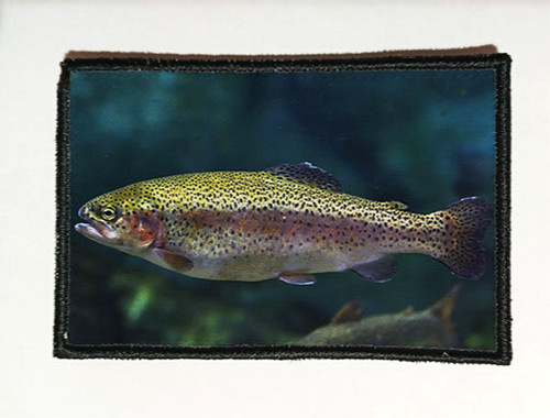 Patch morale5x8cm peche - patch,