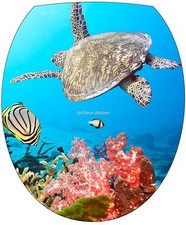 Sticker abattant de WC Tortue
