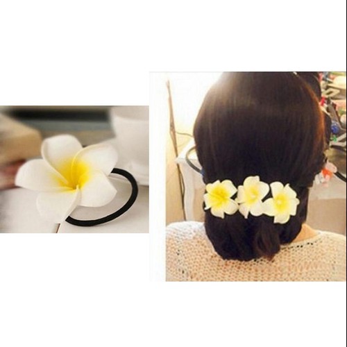 Pièces plumeria - 50,