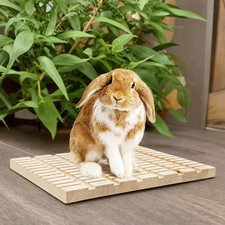 Planche à gratter pour lapin