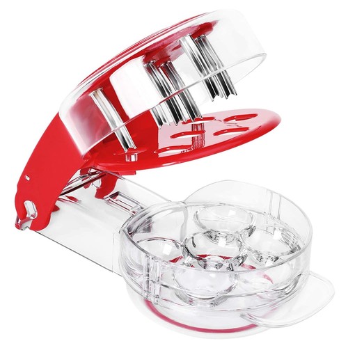 Cherry pitter cerises - pitter,