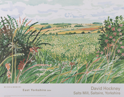 David hockney gap in - :,