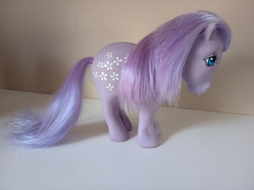 Little pony italian - my,