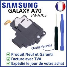 MODULE HAUT PARLEUR BUZZER