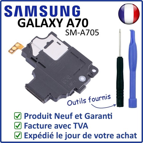 Module haut parleur - haut, buzzer