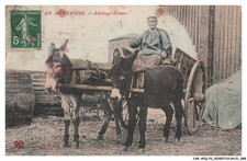 CAR-AFQP3-0172-63 - AUVERGNE - Attelage d'ane - Agriculture