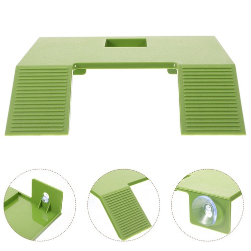 Plateforme pour tortue de - tortue,