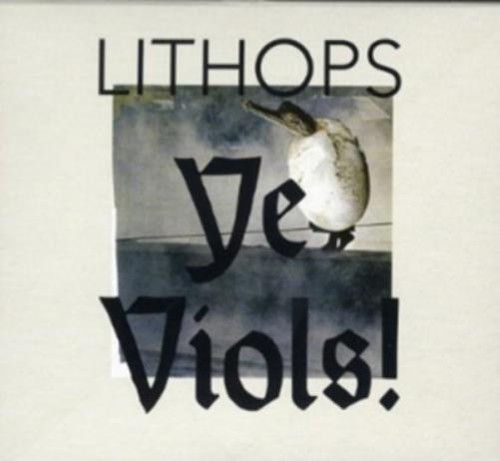 Lithops viols 12 - lithops, (vinyl)