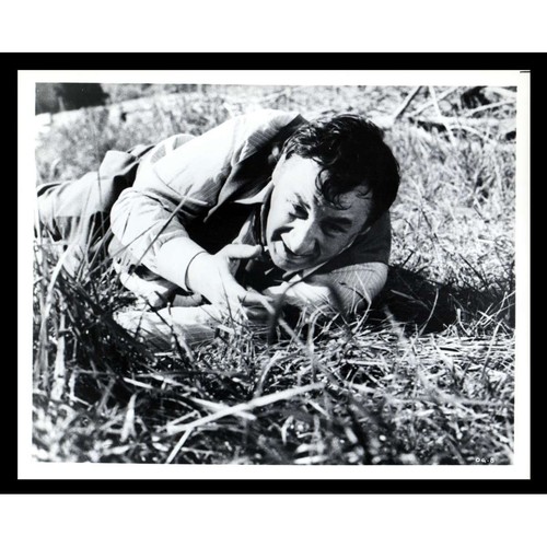 Vieux fusil photo presse - photo,