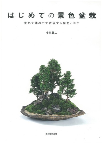 Scenery bonsai intro - intro, –