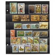 Recharges Futura GIGA 6 -