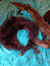 Toque étole renard col fourrure des années 1930/1950