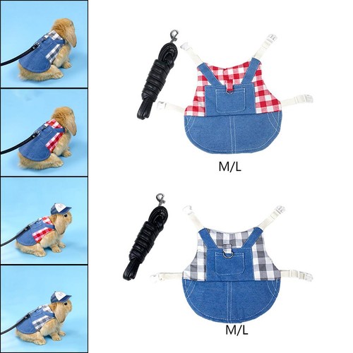 Harnais gilet lapin - harnais,