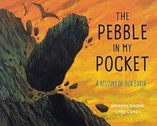 The Pebble in my Pocket: A