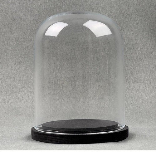 Cloche verre petit avec - en,