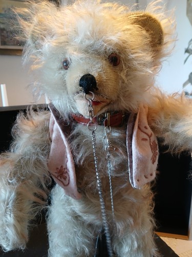 Ours ancien peluche - ancien, allemand