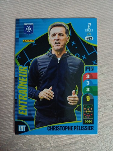Panini adrenalyn ligue1 - xl,