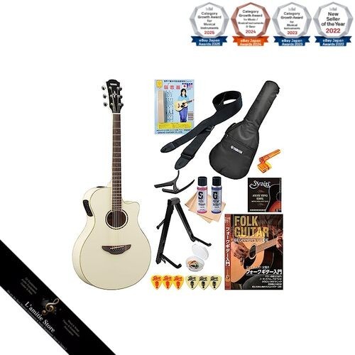 Guitare acoustique électrique