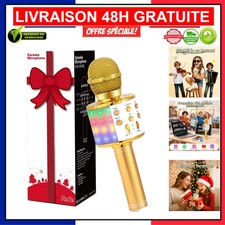 Micro à Main Portable Fede