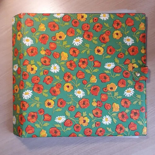 Album vintage pour disques - vintage,