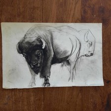 Dessin Ancien Animalier Fond