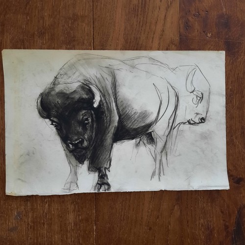 Dessin ancien animalier fond - dessin,