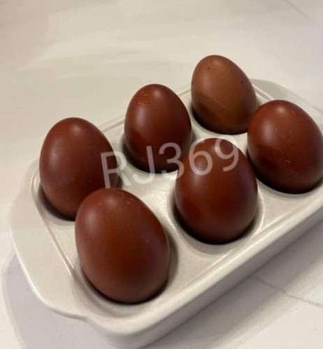 Wow french black - 6+, copper