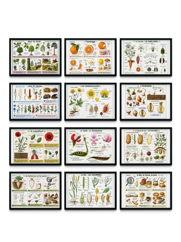 Lot affiches scolaires en - lot,