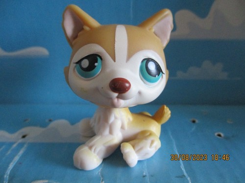 Petshop chien husky 386 - ,
