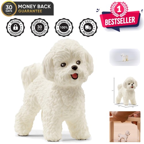 Realistic bichon frise dog - realistic,