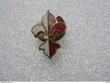 *Ancienne fleur de lys en
