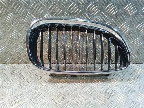 R51137065702 grille - grille, de