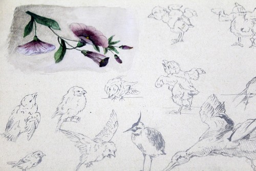 Vieux carnet croquis avec - vieux, de